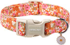 ARING PET Dinosaur Dog Collar-Cute Dog Collar for Small Dogs, Adjustable Comfortable Cotton Boy Dog Collars for Small Medium Large Dogs, Small - Image 9