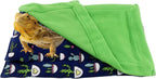 Full packaging and product layout for the Hosukko lizard bed accessory