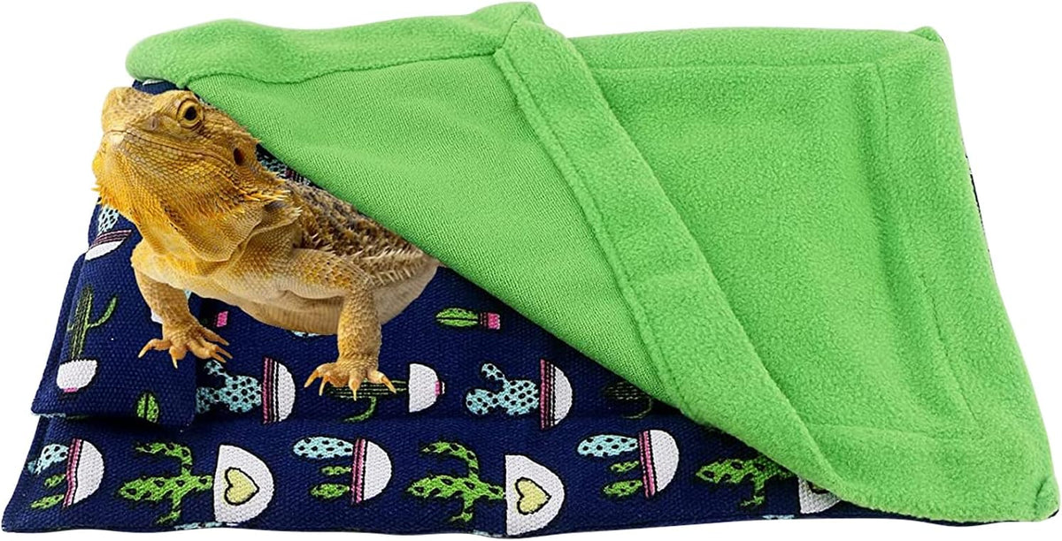 Full packaging and product layout for the Hosukko lizard bed accessory