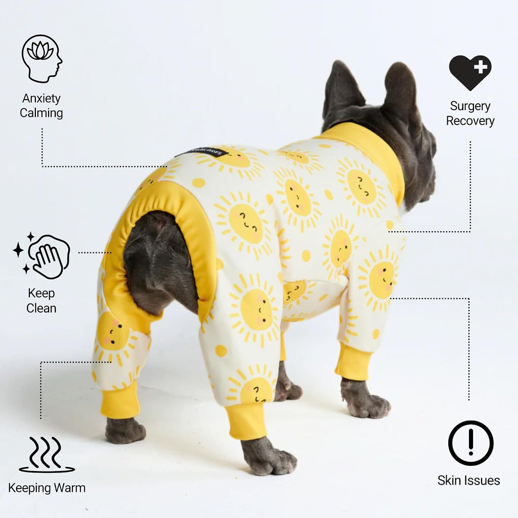 Dog wearing Sunshine Spark Paws onesie sitting