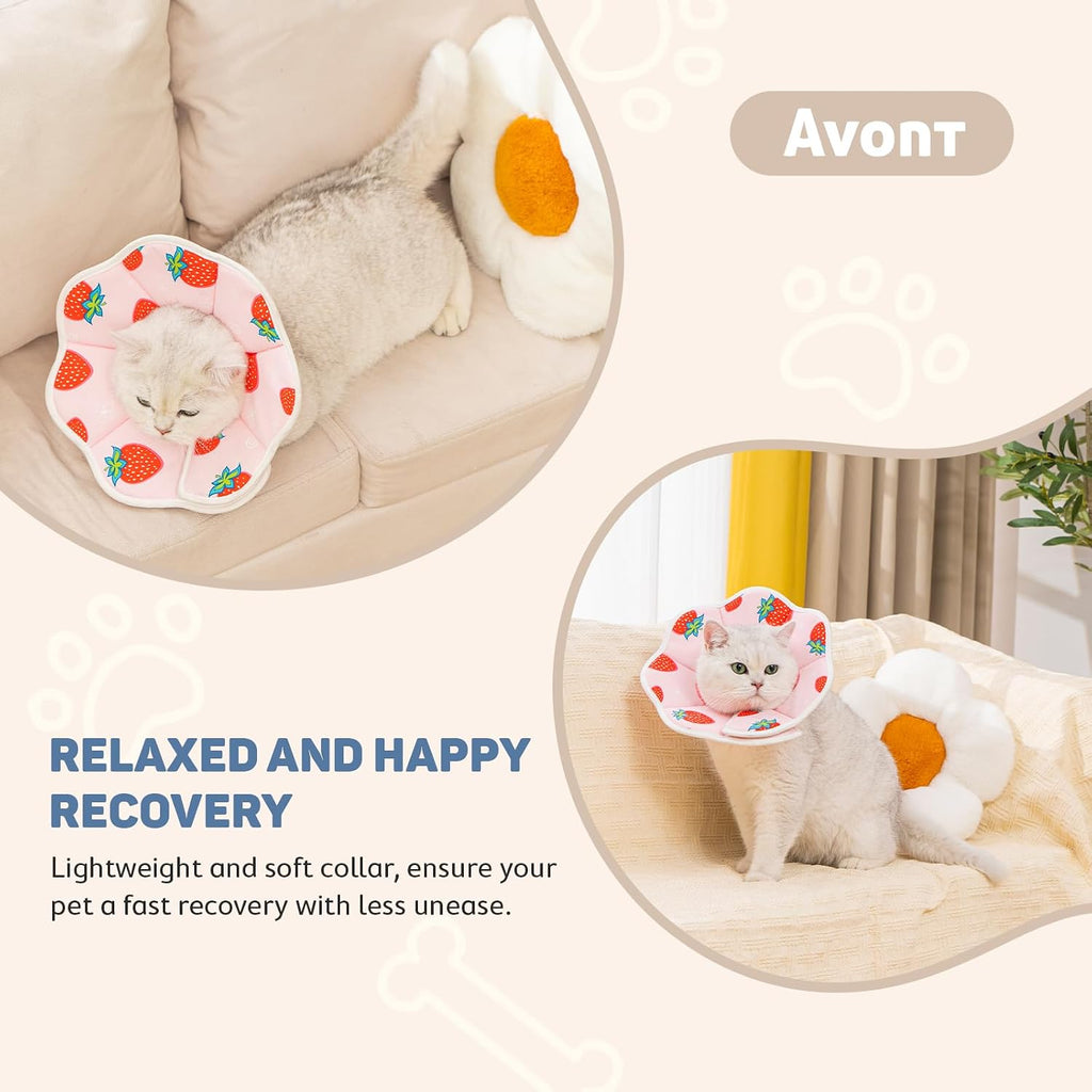 Avont small dog recovery donut collar preventing licking