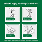 USA imported Advantage topical cat flea treatment box highlighting 30 day protection