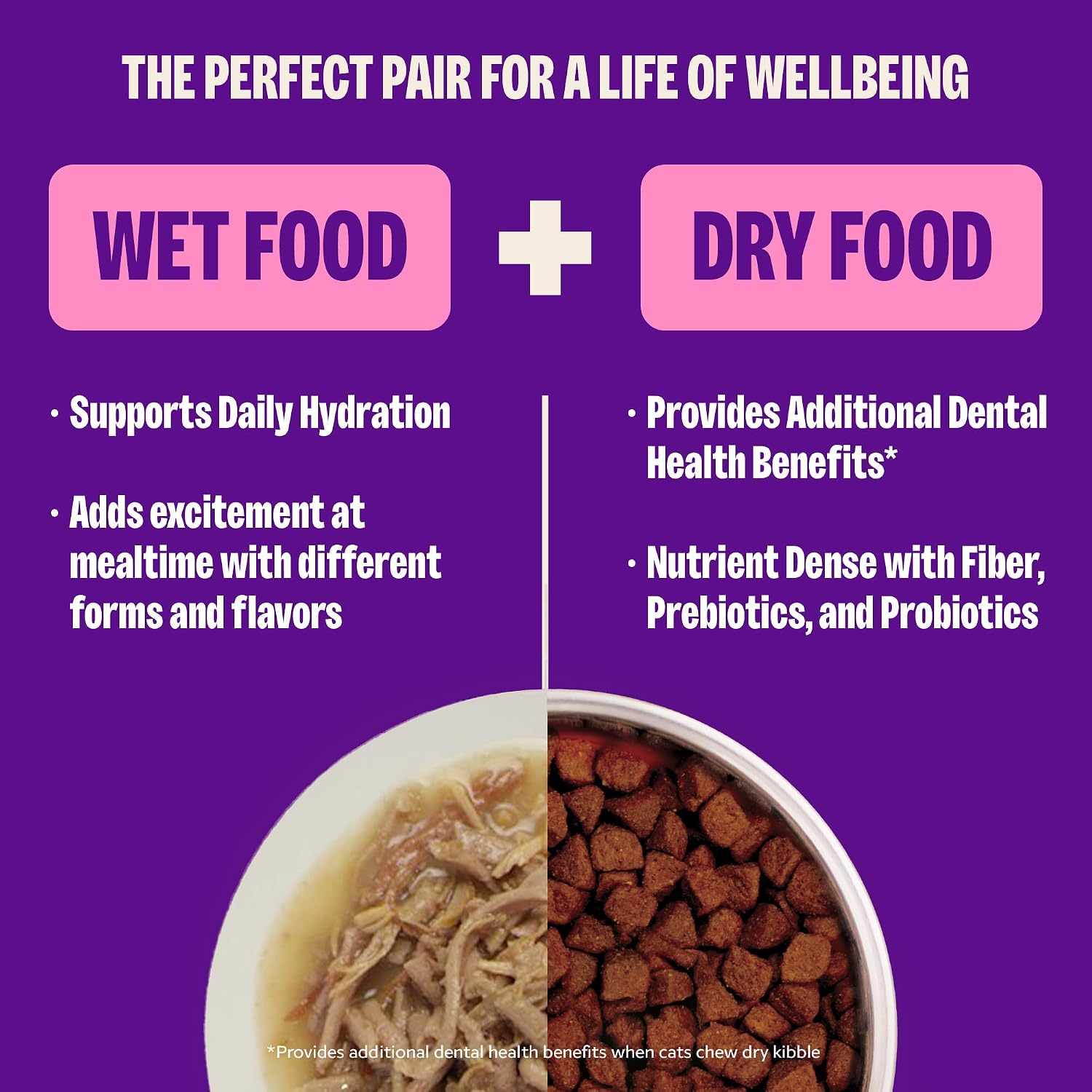 Authentic USA imported Wellness CORE cat food packaging details
