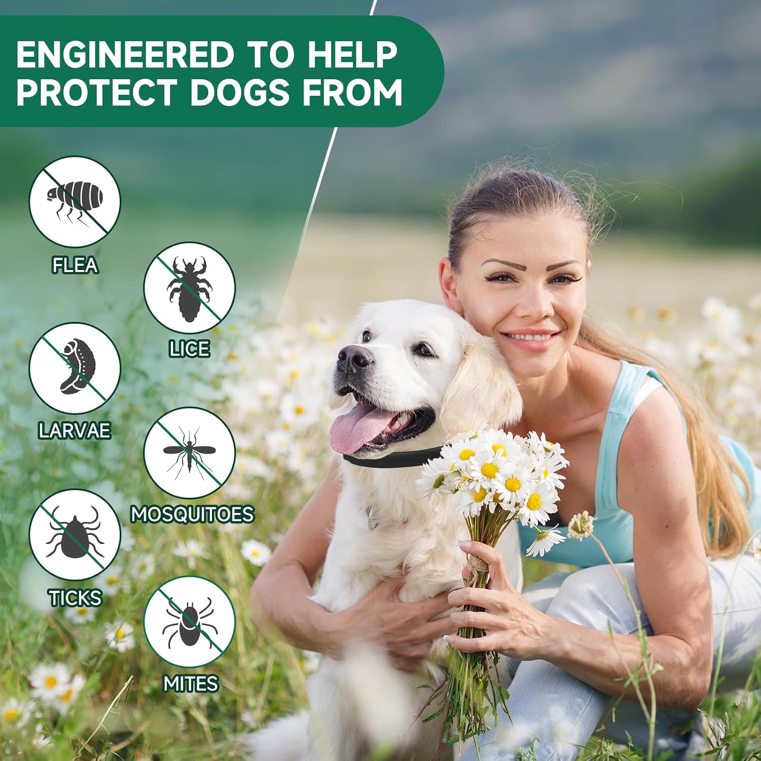 Woyamay dog flea collar packaging showing 32 months protection