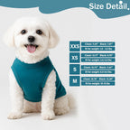 Chihuahua wearing double extra small solid color teal pet apparel.