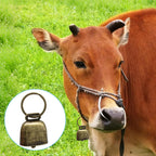 Authentic USA imported copper bell accessory attached to a dog collar.