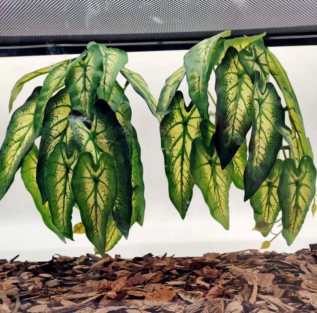 Reptile Plants for Terrarium, Amphibian Habitat Decor Artificial Hanging Plants with Suction Cup, Artificial Plants for Gecko Chameleon Snake Tortoise Tank Accessories. 2-Pack (Monstera) - Image 9