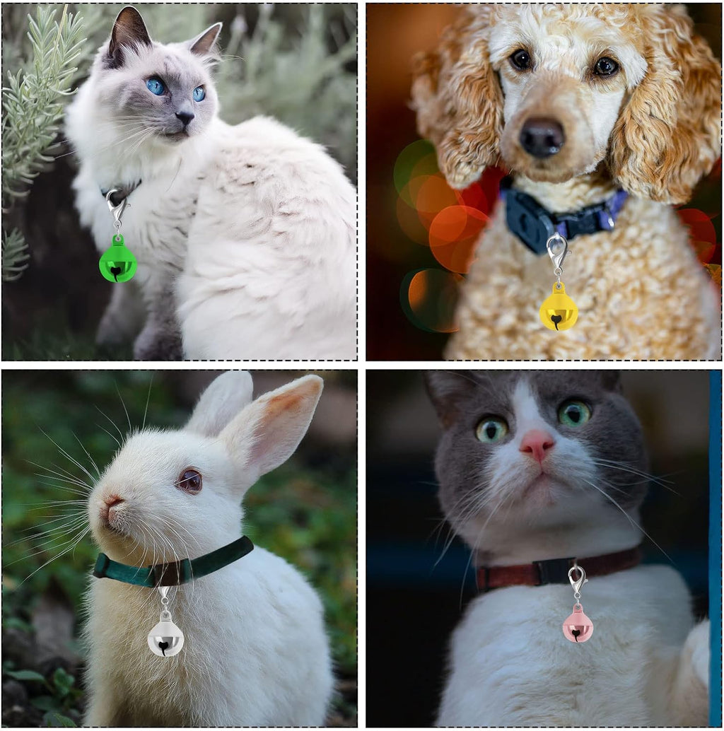 Dog collar with dangling Blmhtwo metal bell charm