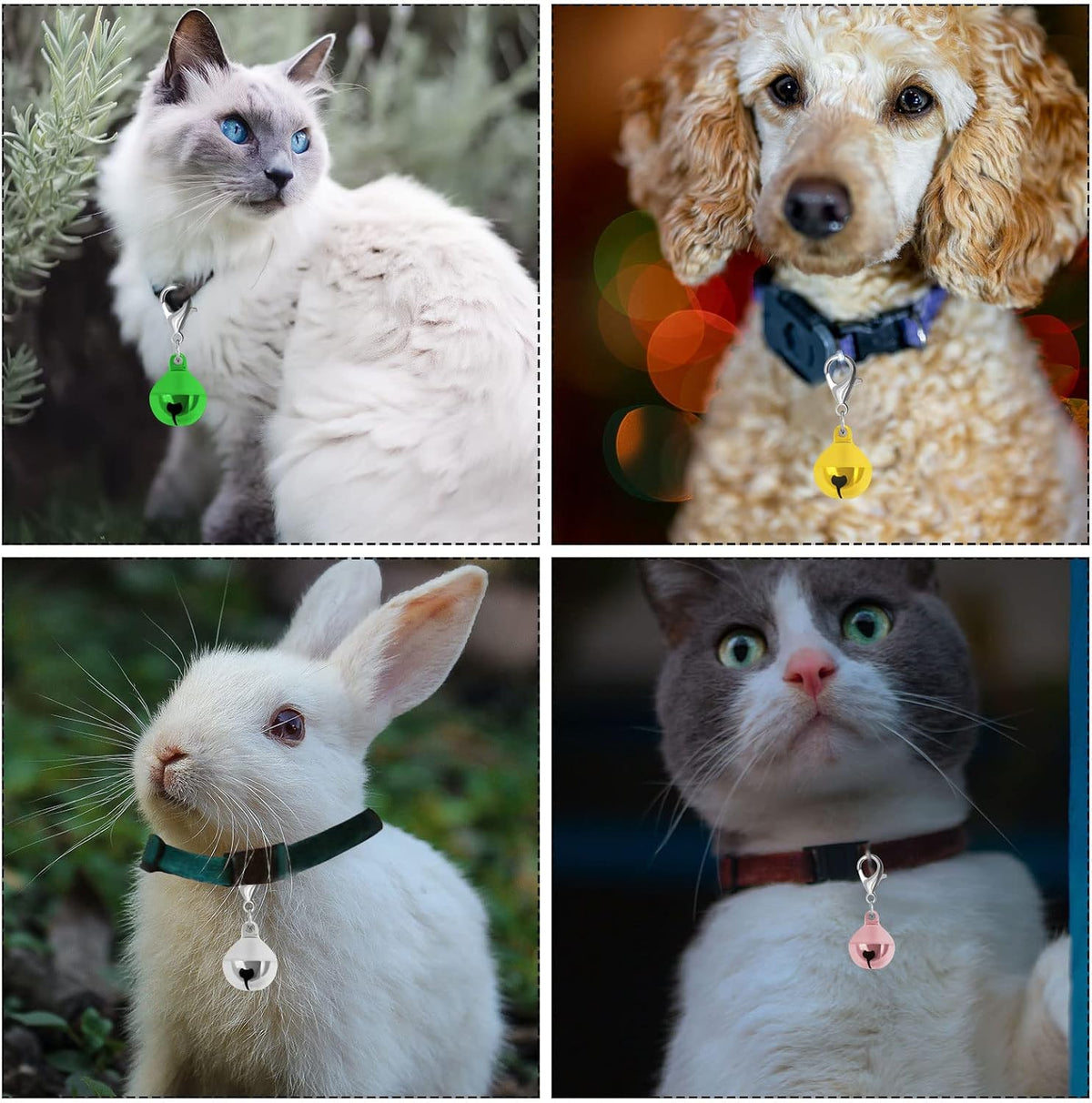 Dog collar with dangling Blmhtwo metal bell charm