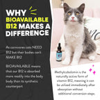 Authentic Jackson Galaxy B12 liquid drops for pet cognitive support.