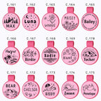 Brayhoo pet supplies small size round personalized identification accessory.
