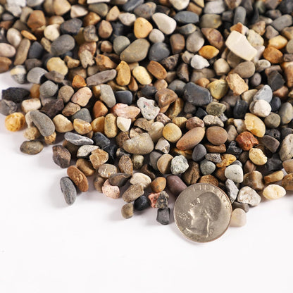 Lmtonble 5lb natural stone sand front view for aquarium