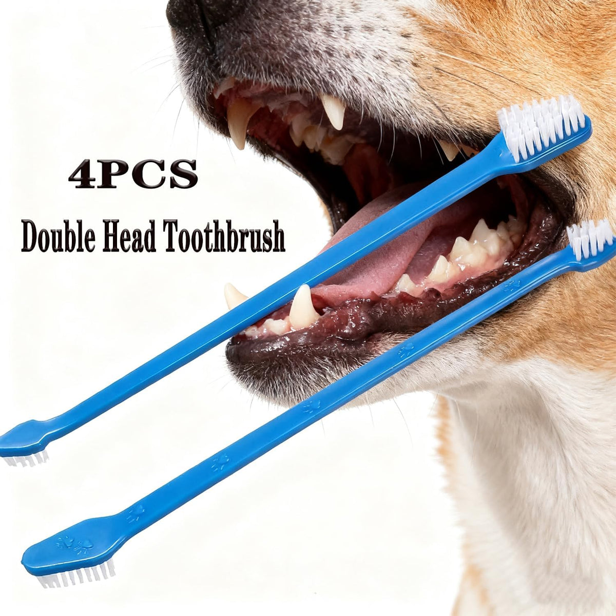 Full 10 piece pet dental care cleaning set