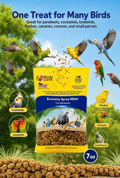 Birds LOVE(R) Economy Spray Millet for Birds, 7 oz, GMO-Free Natural Millet Spray Treat, Stem-Reduced Edible Tops, Grown in USA, for Parakeets, Cockatiels, Lovebirds, Finches, Canaries -Pack of 2 - Image 9
