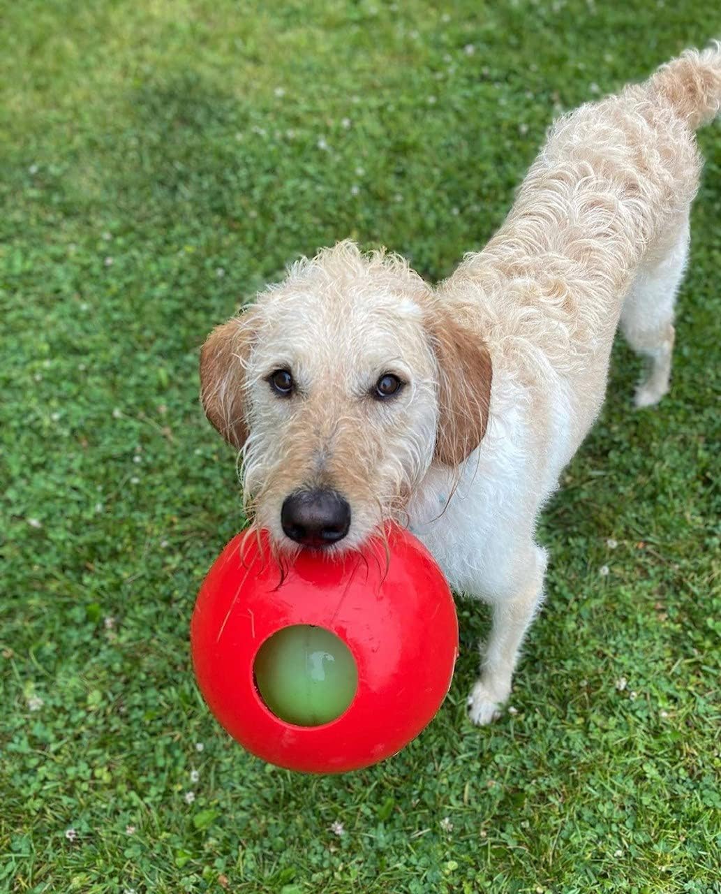 Side profile of Jolly Pets Teaser Ball for dogs