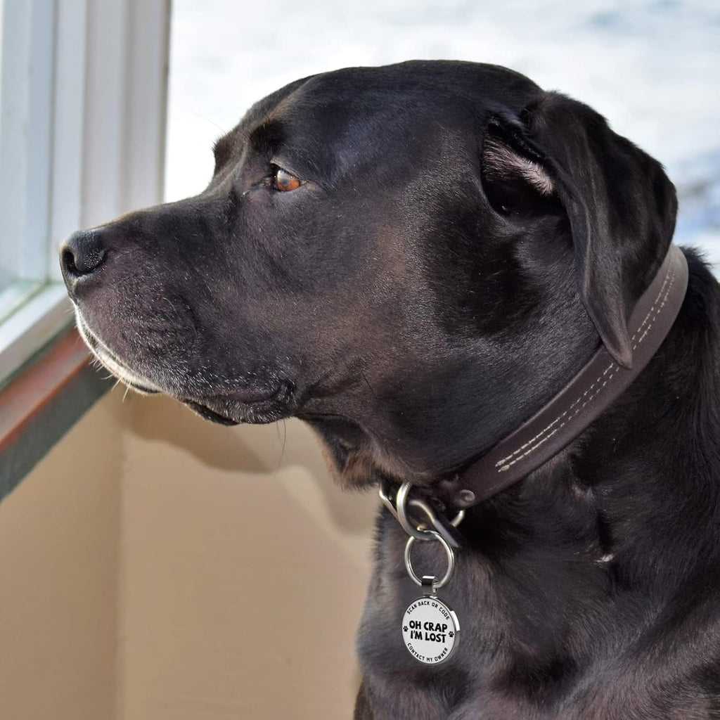 MYLUCKYTAG zinc alloy personalized dog tag with smooth epoxy finish