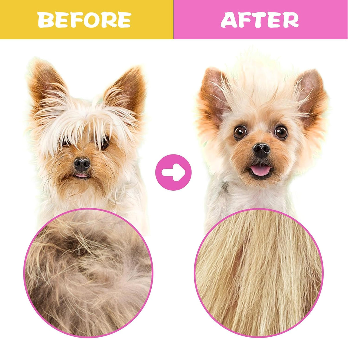 Close up of double sided lice comb for pets