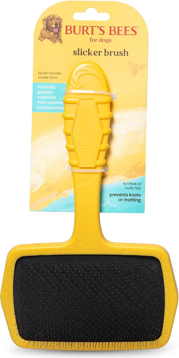 Burt's Bees for Pets Dual Sided Flea Comb with Handle from Recycled Coastal Plastics, Fine and Wide Stainless Steel Pins Remove Fleas, Flea Eggs, Tangles, and Dander, 6 Inch - Image 14