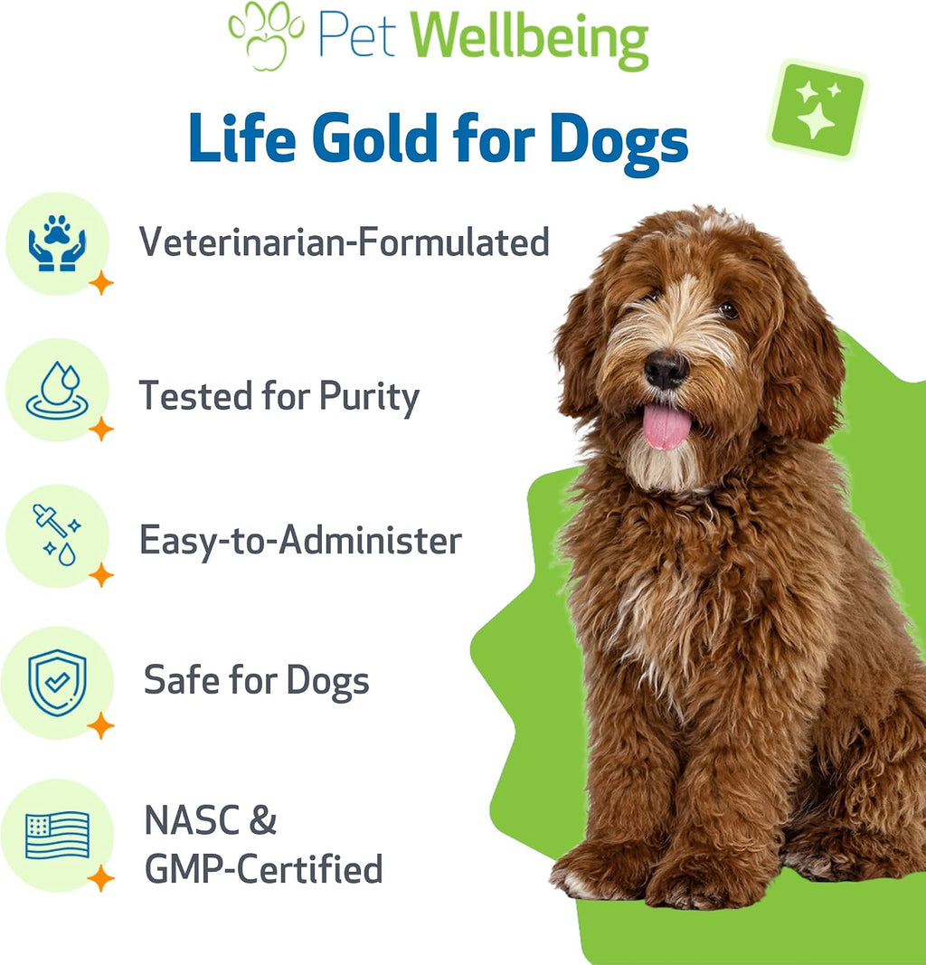 Pet Wellbeing Life Gold for dogs featuring astragalus and sheep sorrel for cellular defense