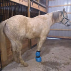 Collapsible blue horse hoof care bag ready for stable first aid use