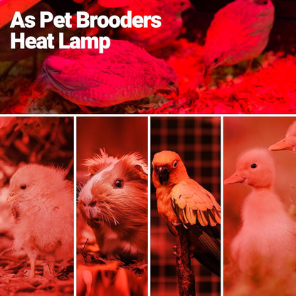 REPTI ZOO infrared night heat lamp packaging showing product specifications