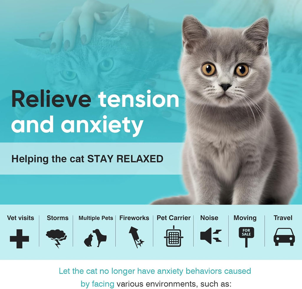Cat relaxing peacefully at home wearing a lavender scented calming collar