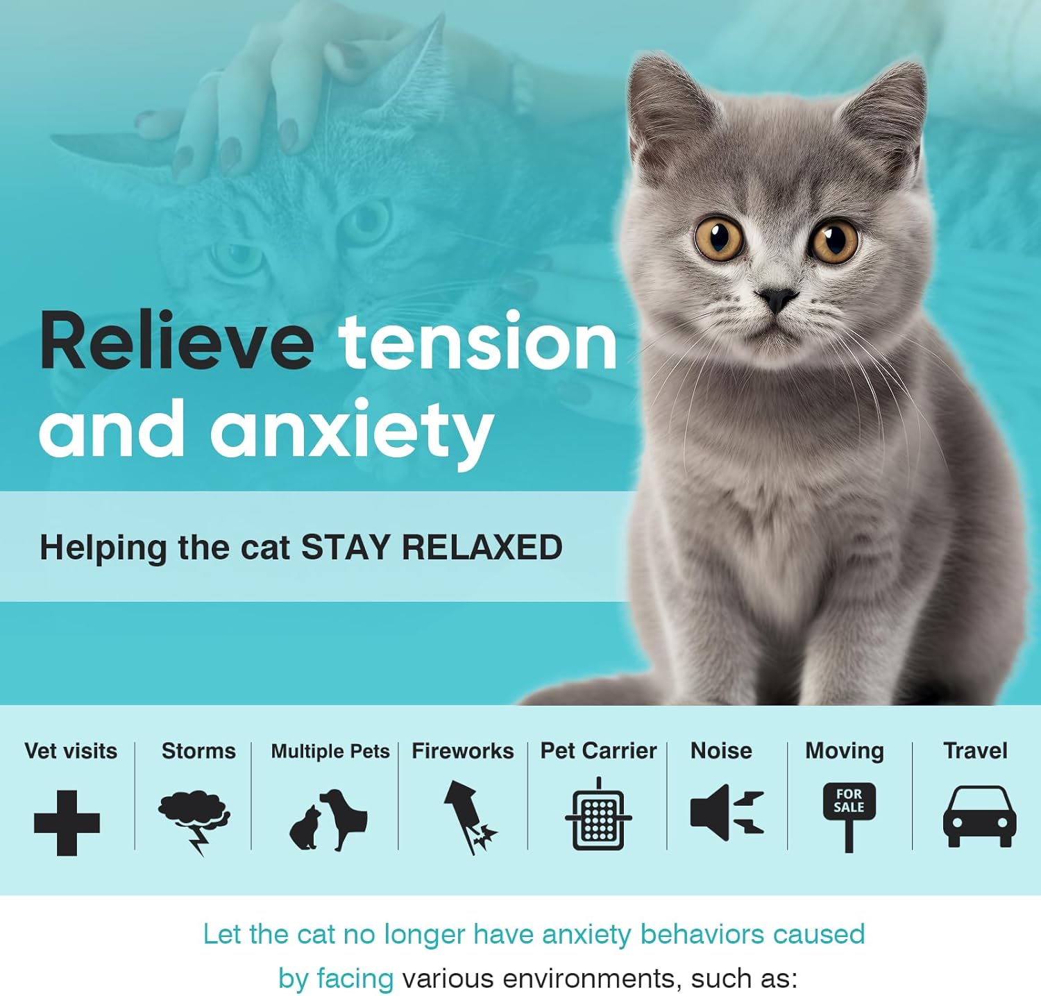 Cat relaxing peacefully at home wearing a lavender scented calming collar