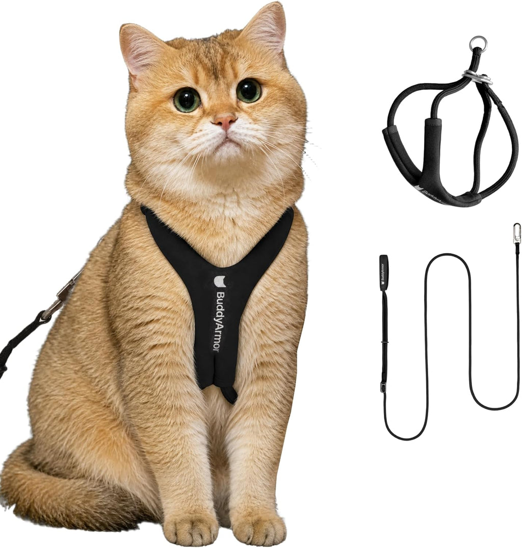 Premium scratch resistant polyester webbing on adjustable kitten harness
