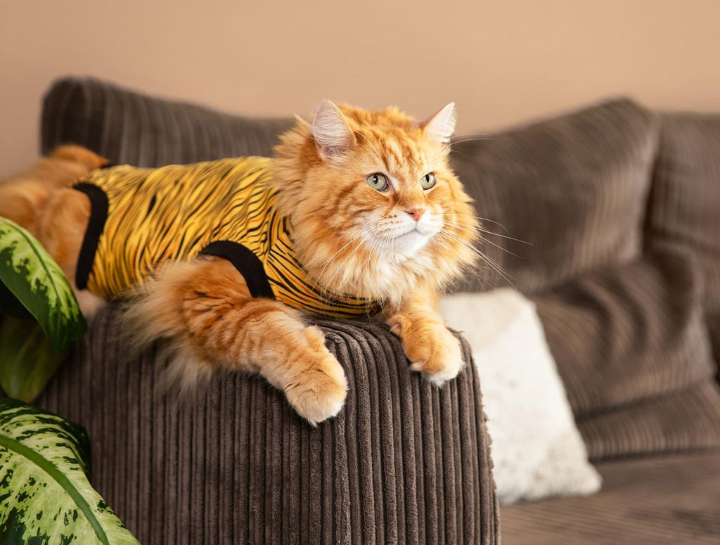 Suitical cat recovery suit inner pocket detail