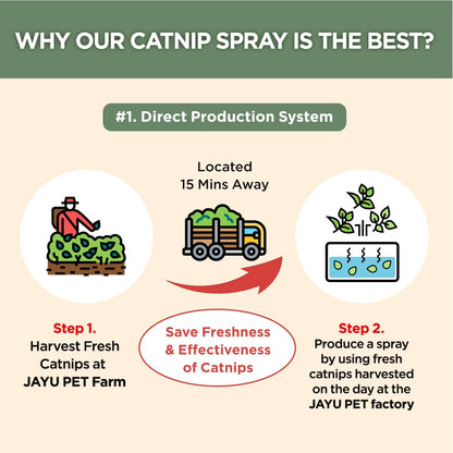 Jayu Pet natural pet care calming spray for anxious kittens