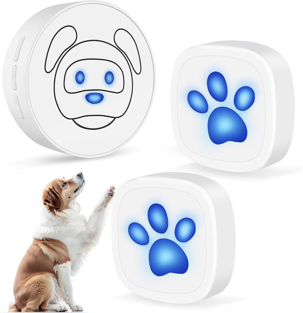 Wireless pet doorbell for potty training in a modern home