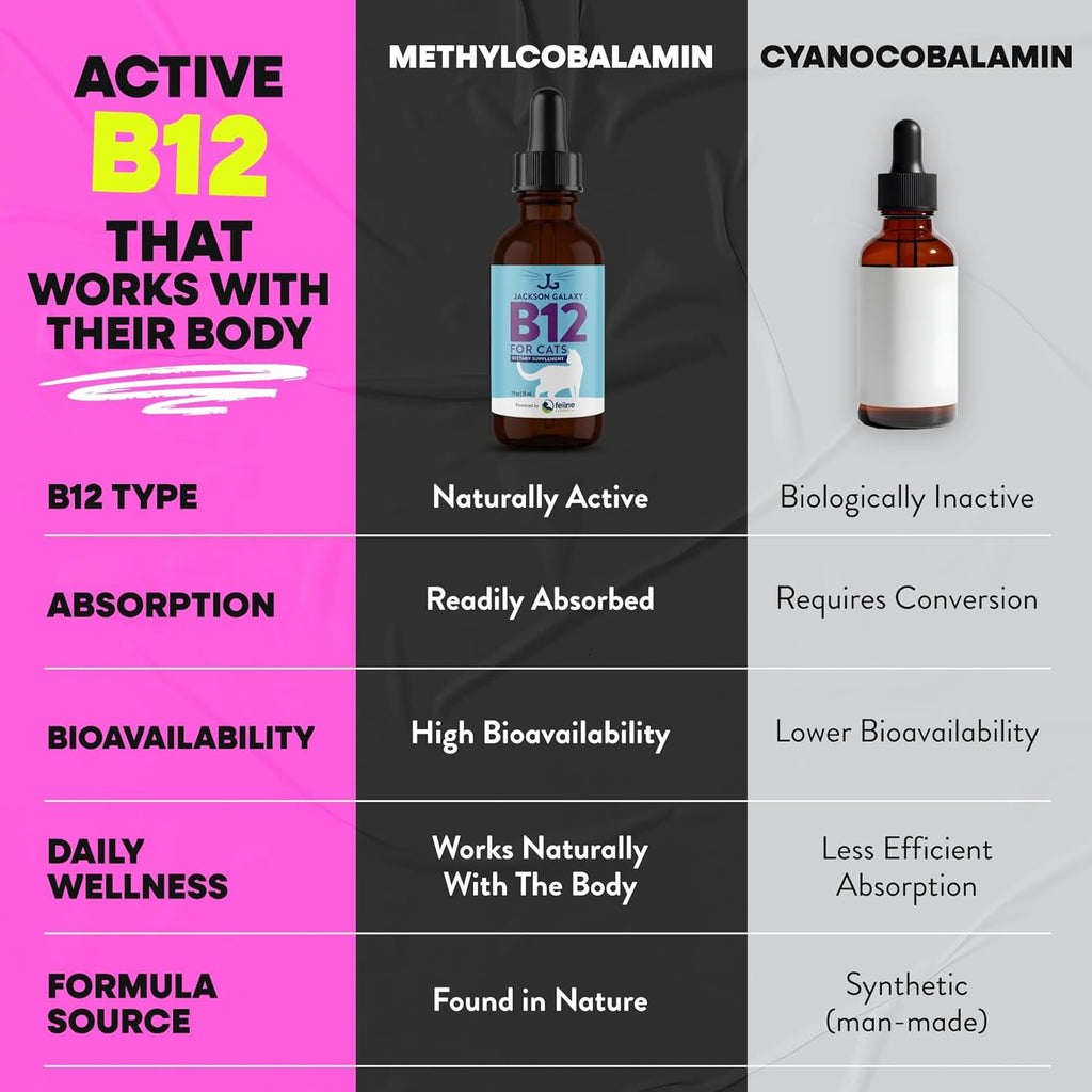 Jackson Galaxy methylcobalamin daily drops for senior cat digestive health.