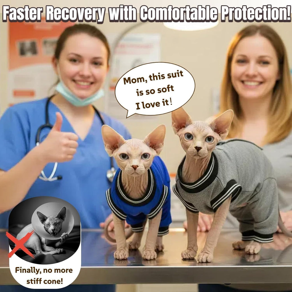 Surgical pajamas for cats as a comfortable alternative to E-collar