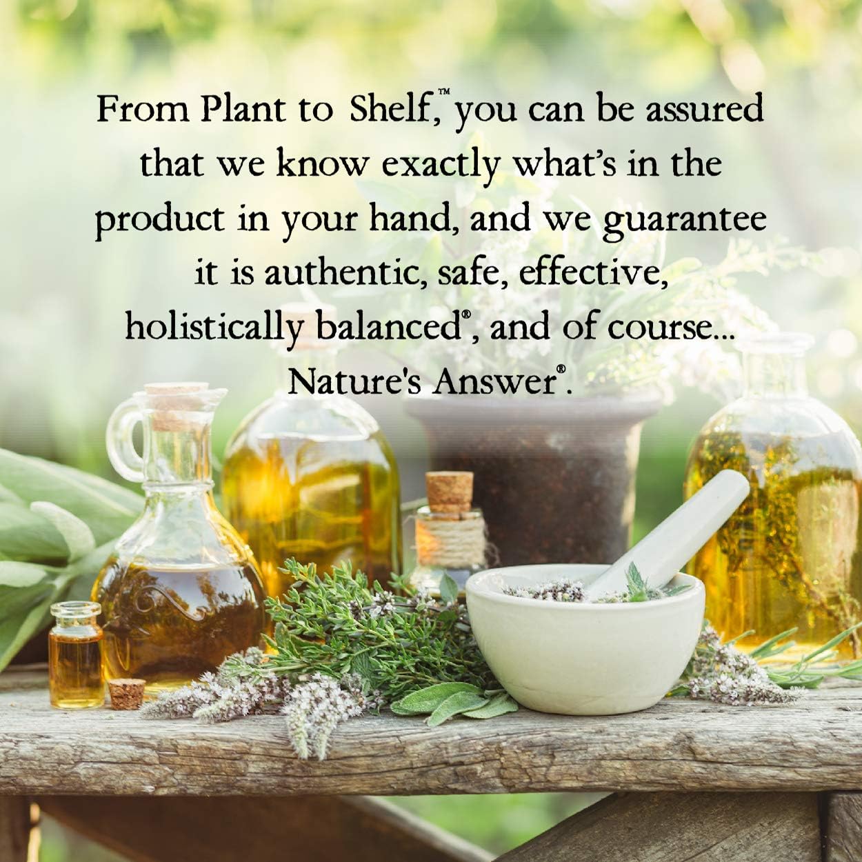 Authentic Nature's Answer Eleuthero Root 60 ml bottle highlighting the bio-chelated seal