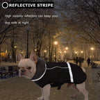 Qbleev pet snowsuit with quick-release buckle detail