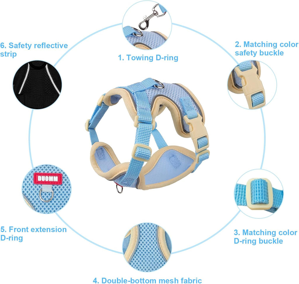 Adjustable blue breathable mesh cat vest harness with quick release buckles