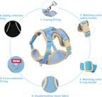Adjustable blue breathable mesh cat vest harness with quick release buckles