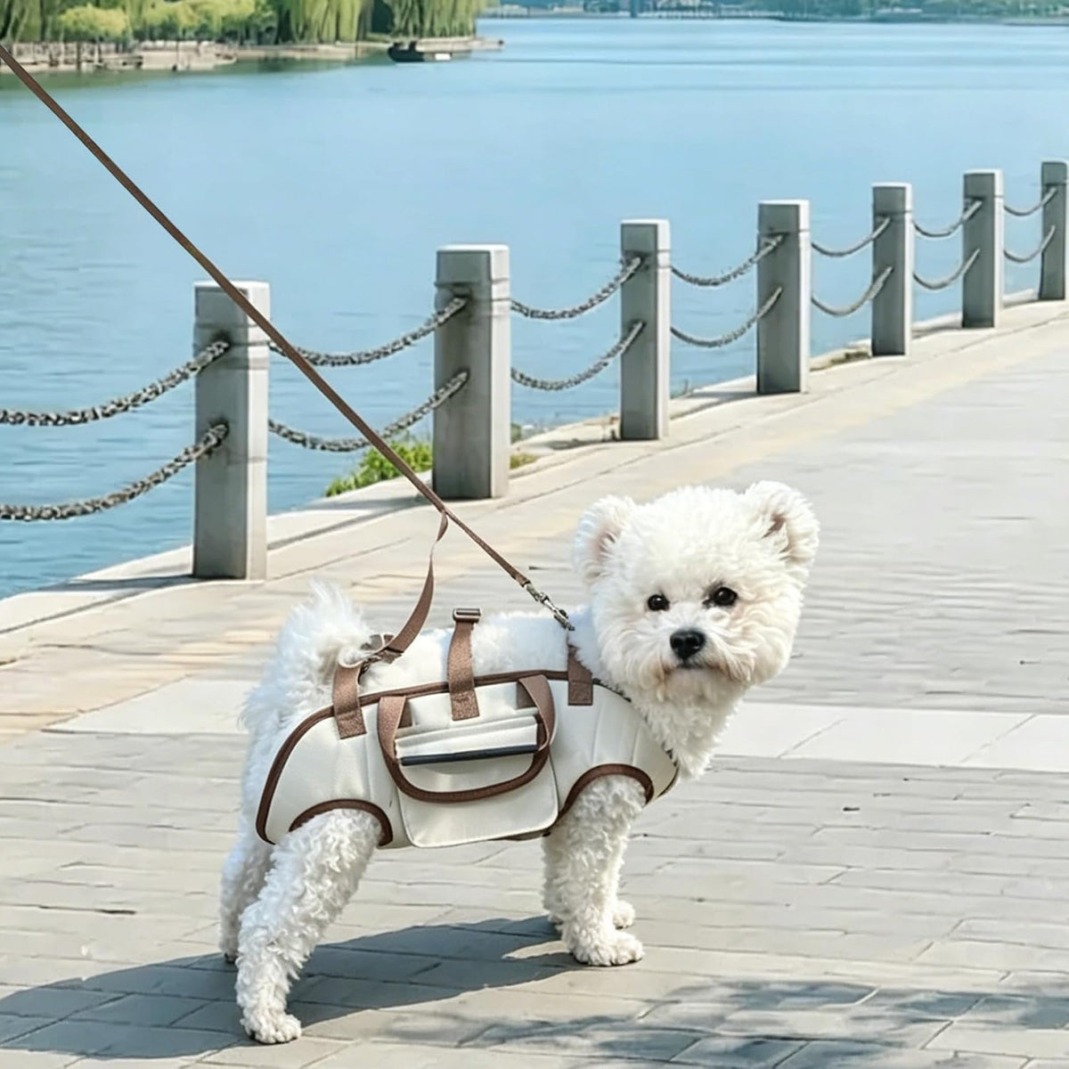 Side angle of the durable nylon dog travel carrier showing ventilated mesh sections.