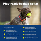 Side view of PetSafe no-hole collar strap