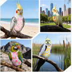 4 Pcs Bird Diaper, Reusable Parrot Diaper with Waterproof Inner - Image 6