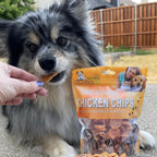 Close up of 1 inch crispy chicken chips for puppies