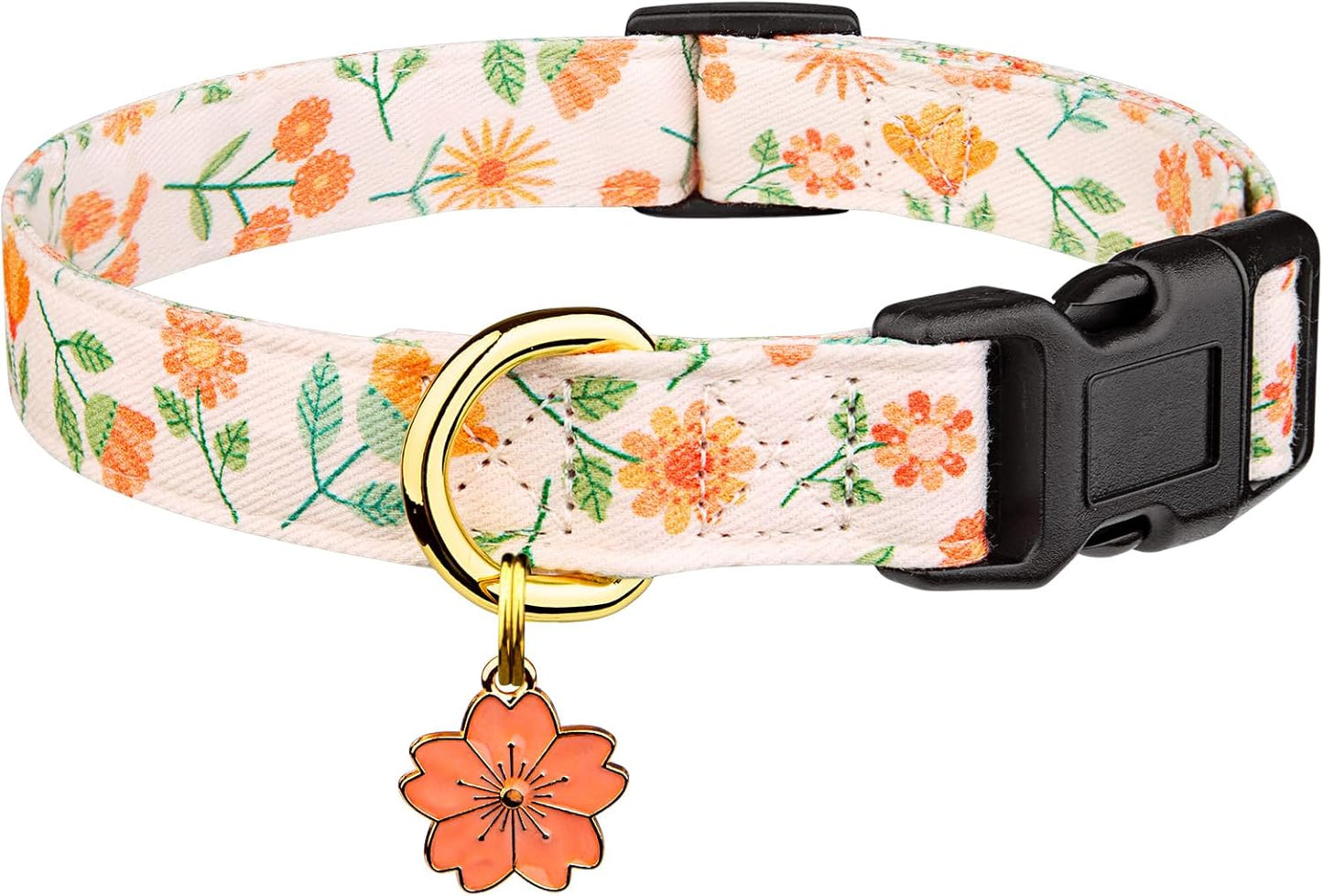 Lifestyle shot of puppy wearing Fyeqyaou heart pattern collar