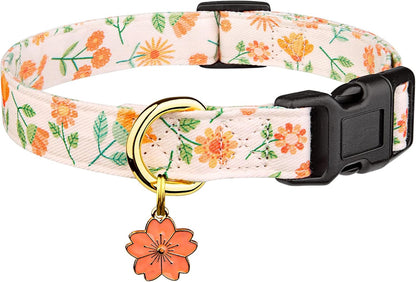 Lifestyle shot of puppy wearing Fyeqyaou heart pattern collar