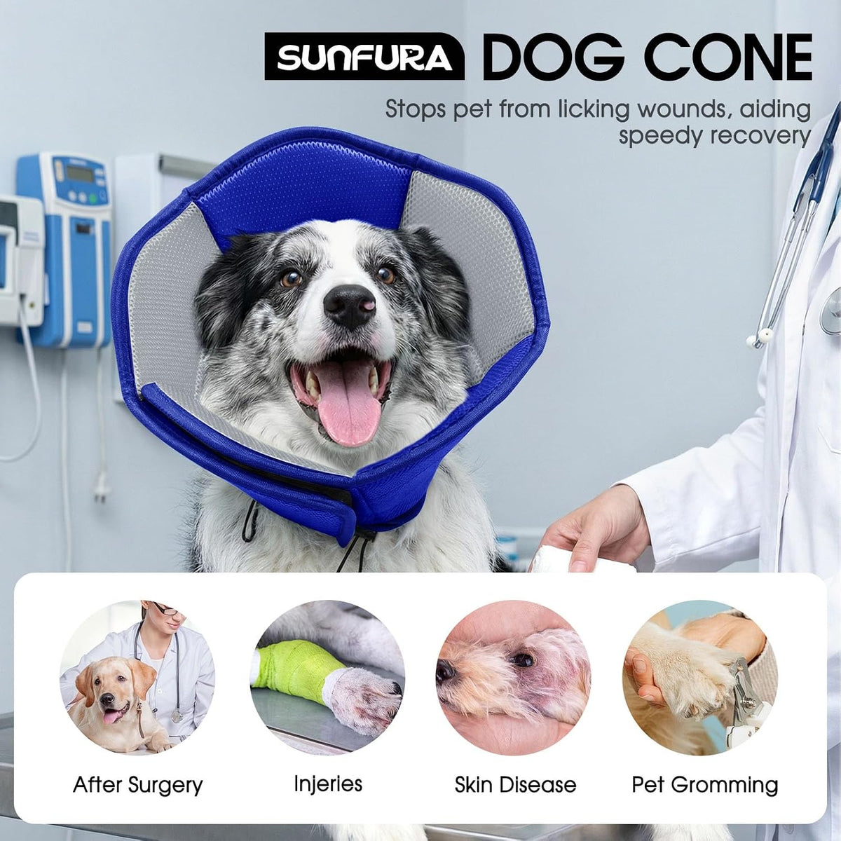 Blue large adjustable pet e collar alternative preventing licking