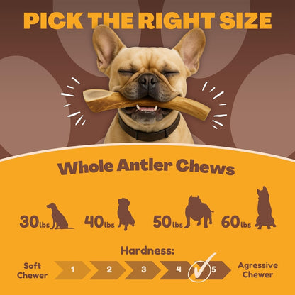 WhiteTail Naturals bulk pack deer antler horn dog treats showing natural texture high in calcium.