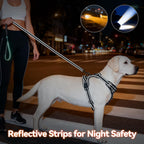 Top view showing handle on Phoepet dog harness