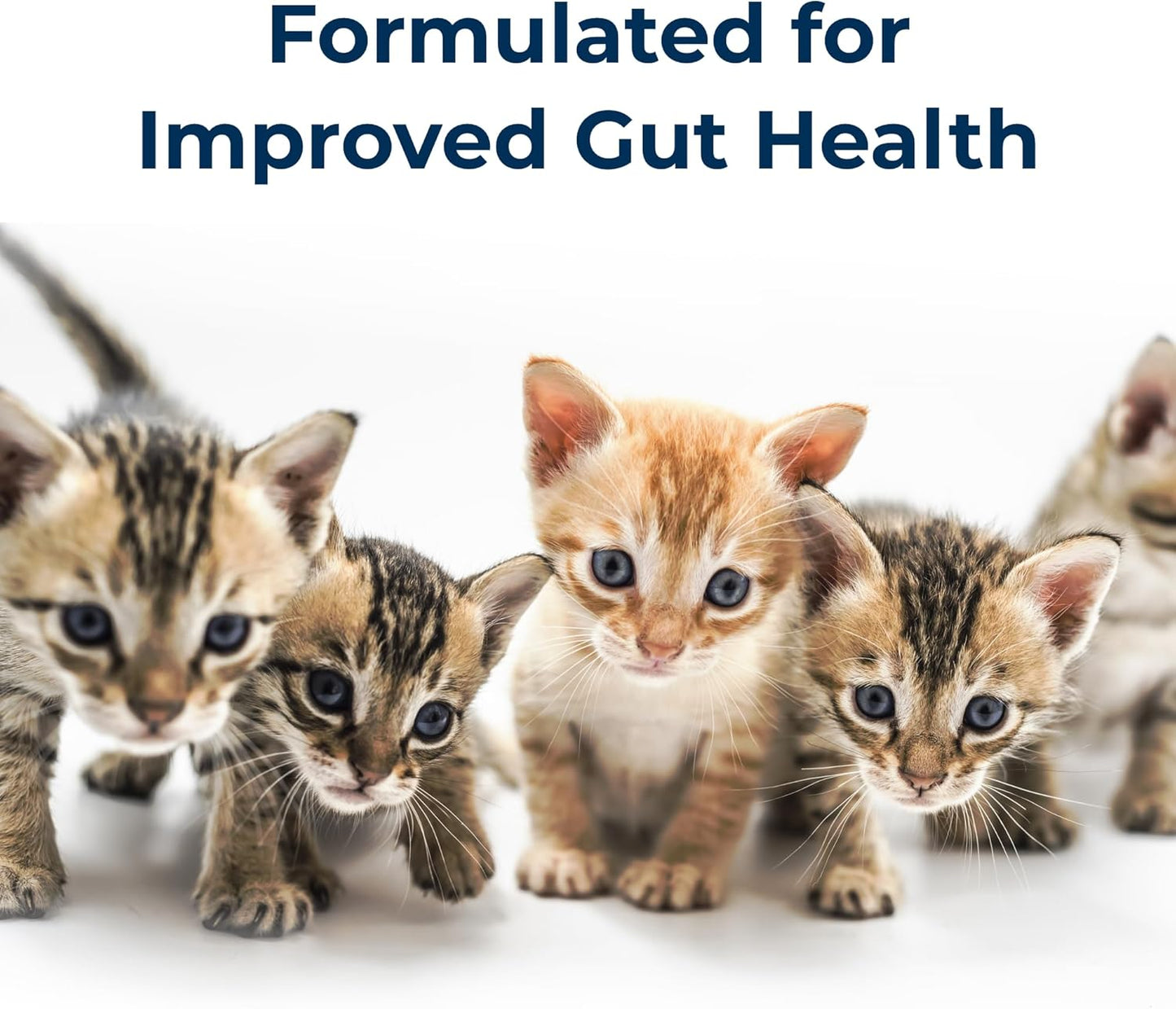 PetAg KMR whole goat milk formula highlighting vitamins minerals and trace nutrients for felines.
