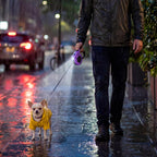 Three button control system on cosowo retractable pet leash