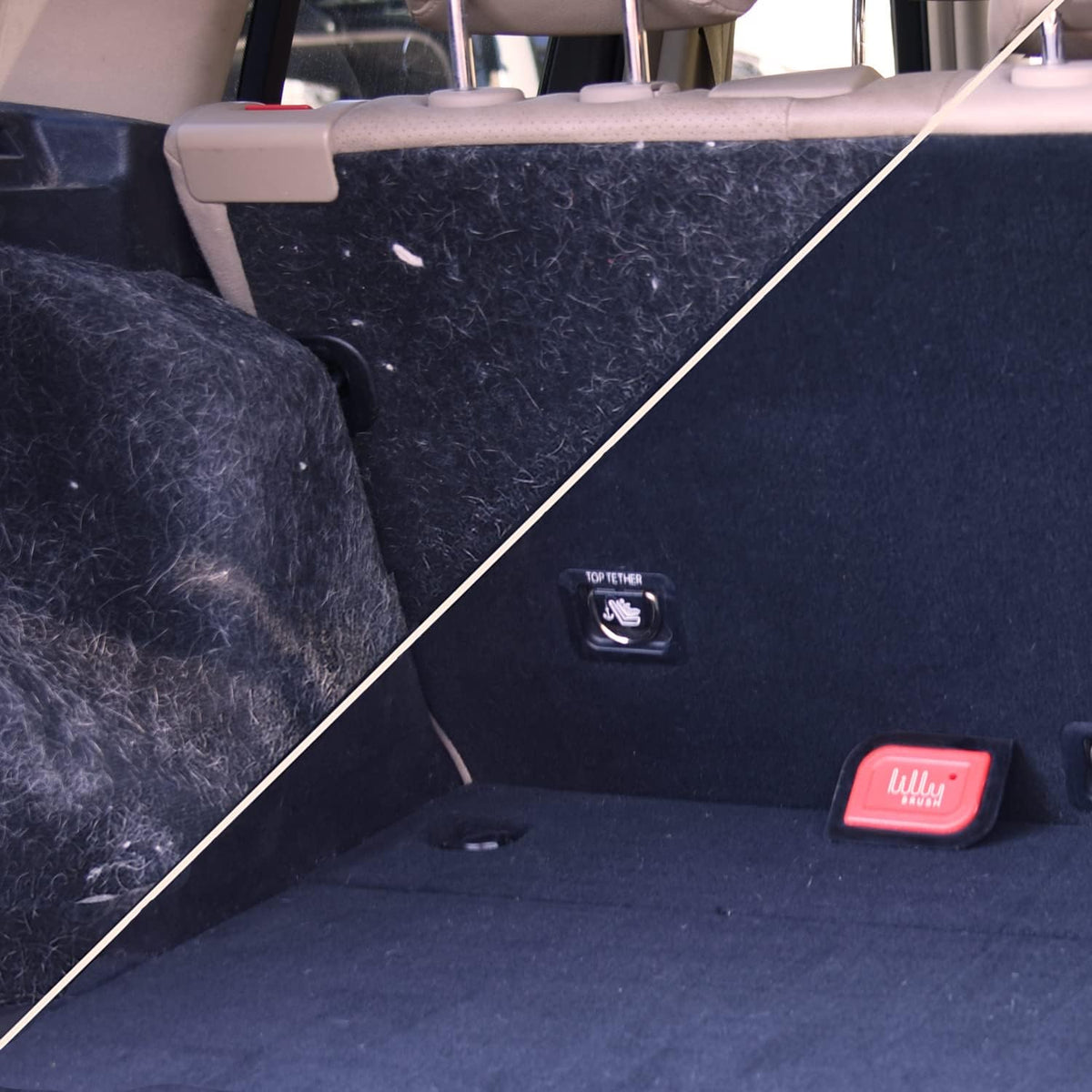 Lilly Brush pet hair remover being used on a car carpet to extract embedded dog fur.