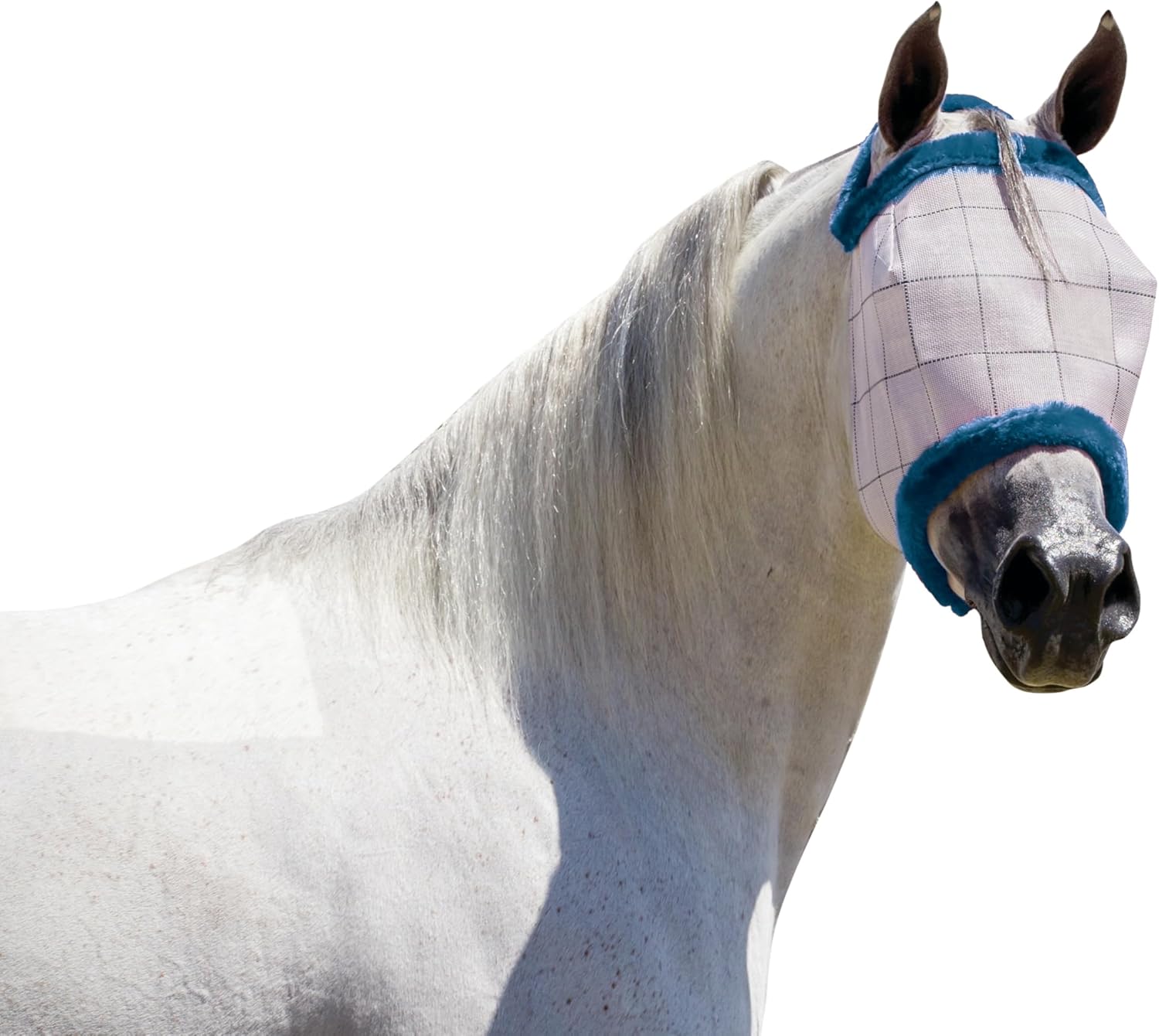 Farnam SuperMask II Horse Fly Mask Without Ears, Extended Coverage, Protects Eyes from Insects and Debris, Adjustable Throat Latch, XL Size - Image 12